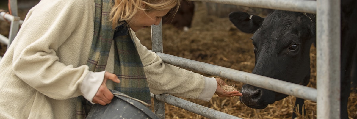 O impacto da nutrição animal na produtividade