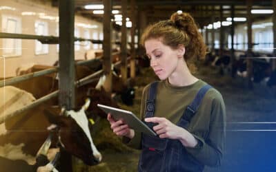 Desempenho zootécnico: veja por que sua engorda não está rendendo como poderia