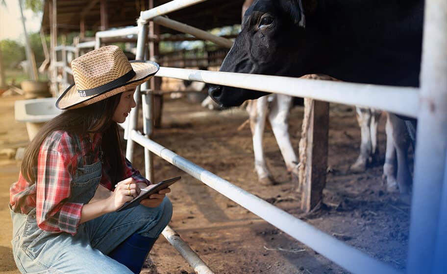 producao-de-racao-na-fazenda